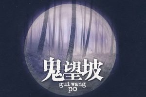 《刑警罗飞之鬼望坡 》(播音—刘艳丽) 全19集