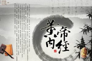 《杨志勋解读黄帝内经》 全13集
