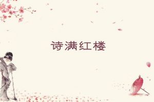 2019年百家讲坛《诗词红楼》 播讲:李菁  全8集
