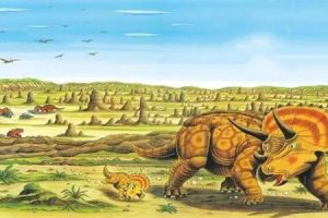《恐龙大陆》 睡前故事 全15集