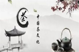 《中国茶文化》播讲：孙刚 全50集